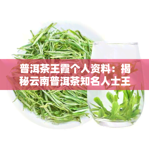 普洱茶王霞个人资料：揭秘云南普洱茶知名人士王霞的生活故事与茶叶制作技艺