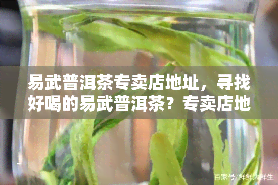 易武普洱茶专卖店地址，寻找好喝的易武普洱茶？专卖店地址在这里！