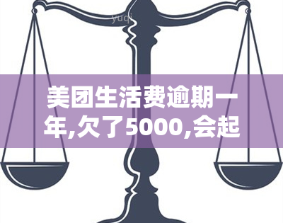 美团生活费逾期一年,欠了5000,会起诉吗？