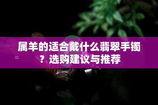 属羊的适合戴什么翡翠手镯？选购建议与推荐