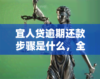 宜人贷逾期还款步骤是什么，全面解析宜人贷逾期还款步骤