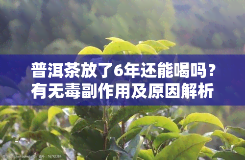 普洱茶放了6年还能喝吗？有无副作用及原因解析