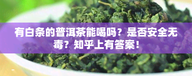 有白条的普洱茶能喝吗？是否安全无？知乎上有答案！