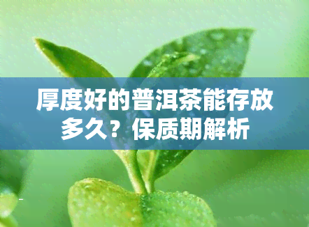 厚度好的普洱茶能存放多久？保质期解析