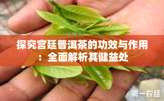 探究宫廷普洱茶的功效与作用：全面解析其健益处