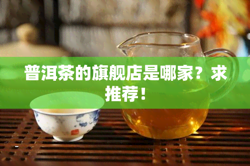 普洱茶的旗舰店是哪家？求推荐！