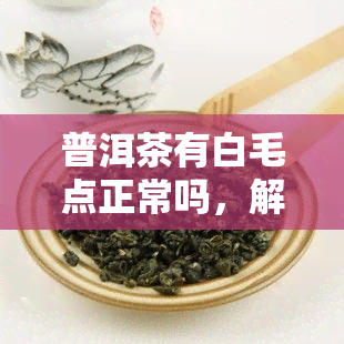 普洱茶有白毛点正常吗，解析普洱茶中的白毛点：这是正常的吗？