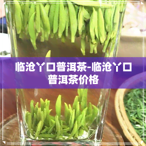 临沧丫口普洱茶-临沧丫口普洱茶价格