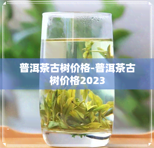 普洱茶古树价格-普洱茶古树价格2023