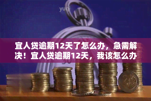 宜人贷逾期12天了怎么办，急需解决！宜人贷逾期12天，我该怎么办？