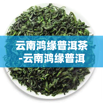 云南鸿缘普洱茶-云南鸿缘普洱茶价格表