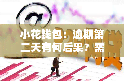 小花钱包：逾期第二天有何后果？需在5点前还款，否则将被！