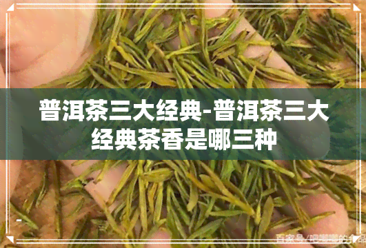 普洱茶三大经典-普洱茶三大经典茶香是哪三种