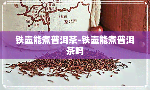 铁壶能煮普洱茶-铁壶能煮普洱茶吗