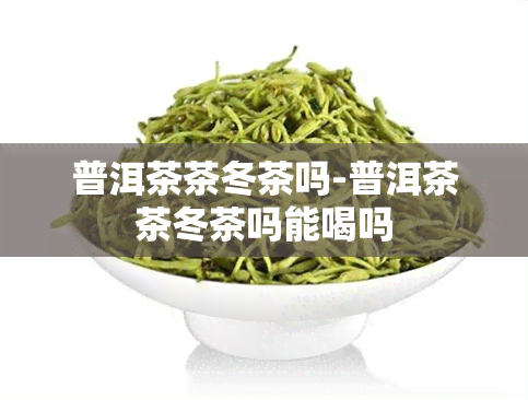 普洱茶茶冬茶吗-普洱茶茶冬茶吗能喝吗