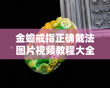 金蟾戒指正确戴法图片视频教程大全