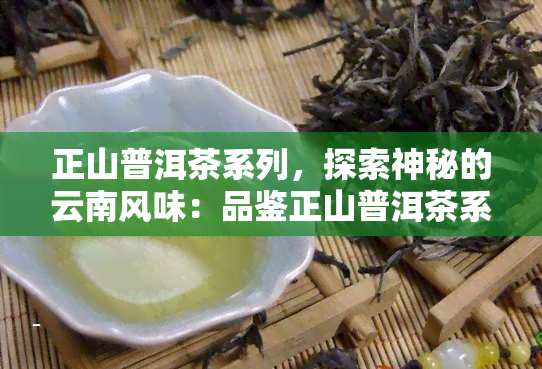 正山普洱茶系列，探索神秘的云南风味：品鉴正山普洱茶系列