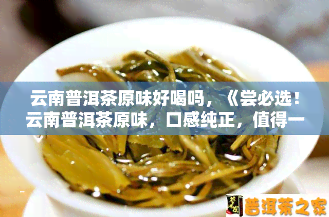 云南普洱茶原味好喝吗，《尝必选！云南普洱茶原味，口感纯正，值得一试》