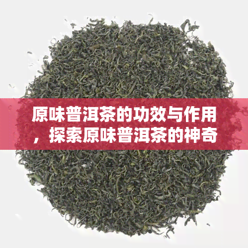 原味普洱茶的功效与作用，探索原味普洱茶的神奇功效与作用