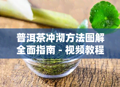 普洱茶冲沏方法图解全面指南 - 视频教程