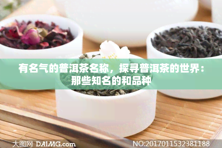 有名气的普洱茶名称，探寻普洱茶的世界：那些知名的和品种