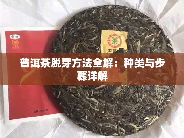 普洱茶脱芽方法全解：种类与步骤详解