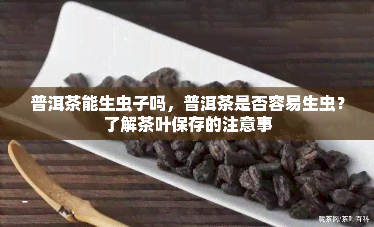 普洱茶能生虫子吗，普洱茶是否容易生虫？了解茶叶保存的注意事