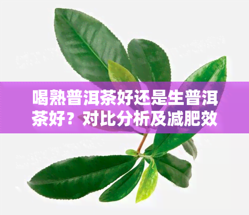 喝熟普洱茶好还是生普洱茶好？对比分析及减肥效果排名