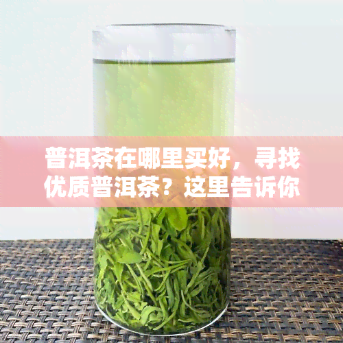 普洱茶在哪里买好，寻找优质普洱茶？这里告诉你哪里买！