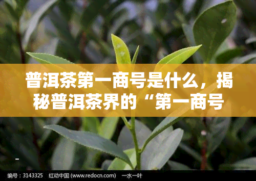 普洱茶之一商号是什么，揭秘普洱茶界的“之一商号”