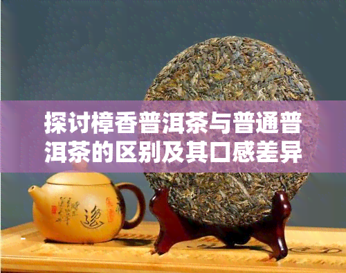 探讨樟香普洱茶与普通普洱茶的区别及其口感差异