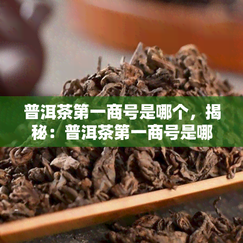 普洱茶之一商号是哪个，揭秘：普洱茶之一商号是哪家？