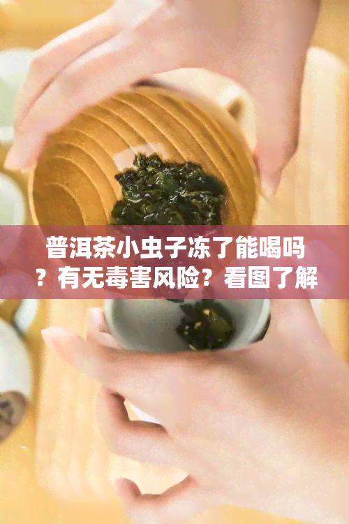 普洱茶小虫子冻了能喝吗？有无害风险？看图了解