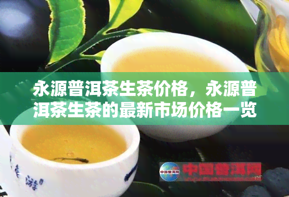 永源普洱茶生茶价格，永源普洱茶生茶的最新市场价格一览