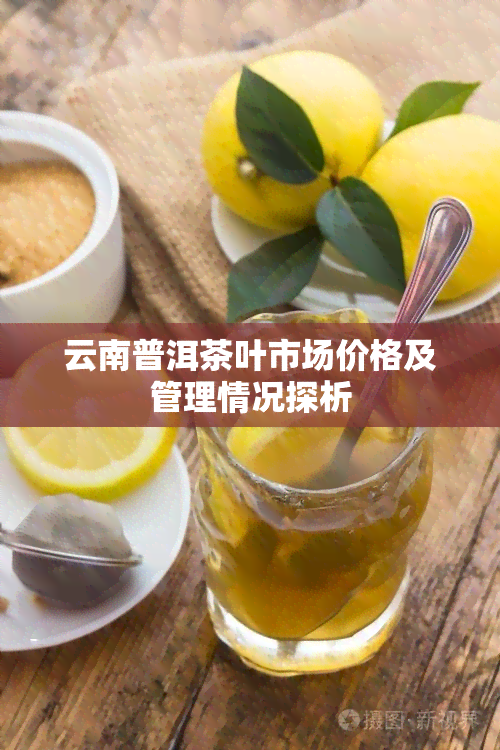 云南普洱茶叶市场价格及管理情况探析