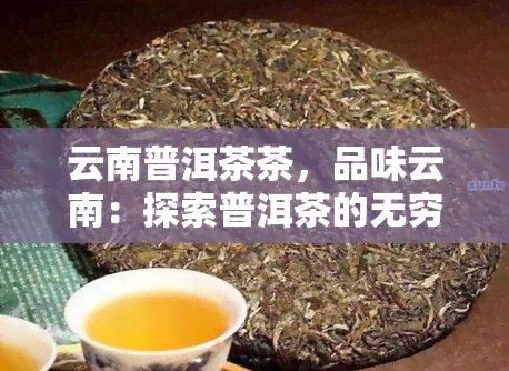 云南普洱茶茶，品味云南：探索普洱茶的无穷魅力——云南普洱茶茶之旅