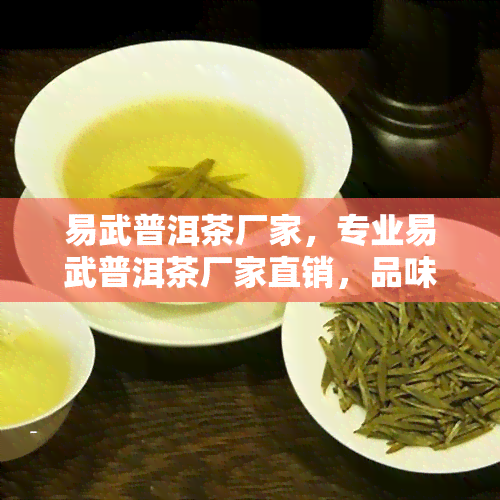 易武普洱茶厂家，专业易武普洱茶厂家直销，品味正宗云南好茶！