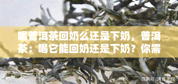 喝普洱茶回奶么还是下奶，普洱茶：喝它能回奶还是下奶？你需要知道的一切！