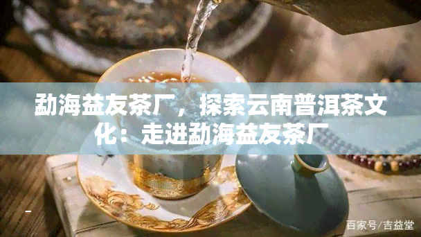 勐海益友茶厂，探索云南普洱茶文化：走进勐海益友茶厂