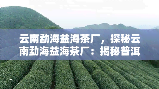 云南勐海益海茶厂，探秘云南勐海益海茶厂：揭秘普洱茶的制作过程与文化传承