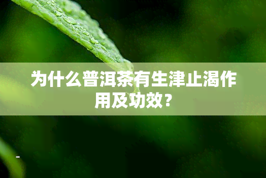 为什么普洱茶有生津止渴作用及功效？