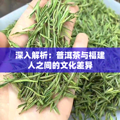 深入解析：普洱茶与福建人之间的文化差异