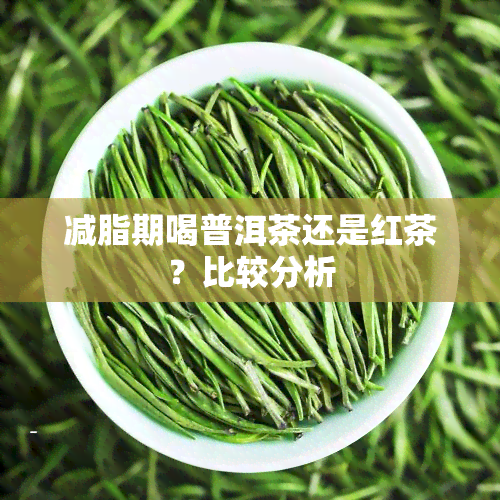 减脂期喝普洱茶还是红茶？比较分析