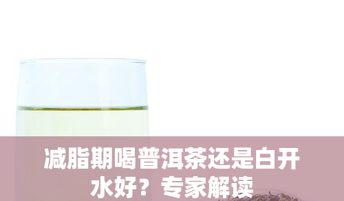 减脂期喝普洱茶还是白开水好？专家解读