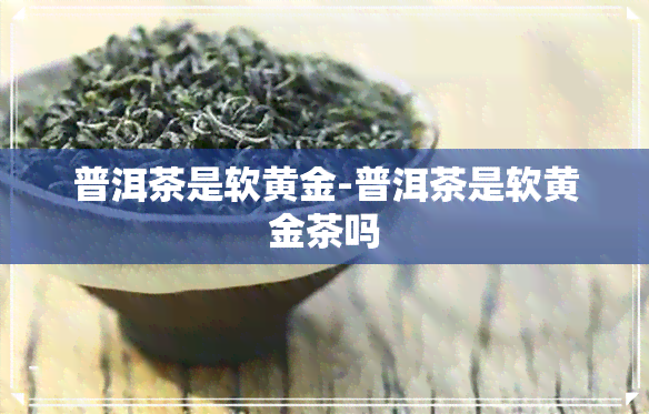 普洱茶是软黄金-普洱茶是软黄金茶吗