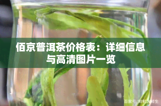 佰京普洱茶价格表：详细信息与高清图片一览