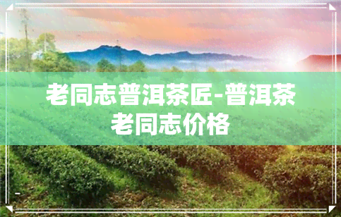 老同志普洱茶匠-普洱茶老同志价格