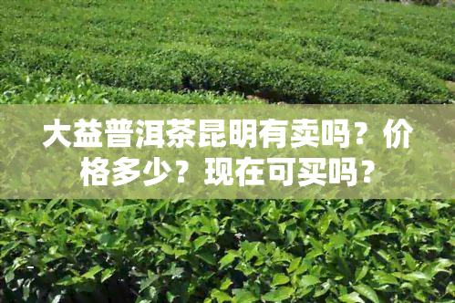 大益普洱茶昆明有卖吗？价格多少？现在可买吗？