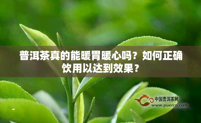 普洱茶真的能暖胃暖心吗？如何正确饮用以达到效果？