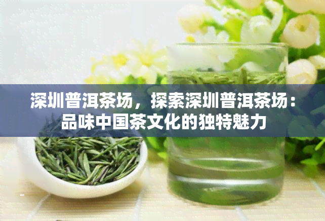 深圳普洱茶场，探索深圳普洱茶场：品味中国茶文化的独特魅力